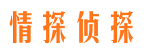 青羊找人公司